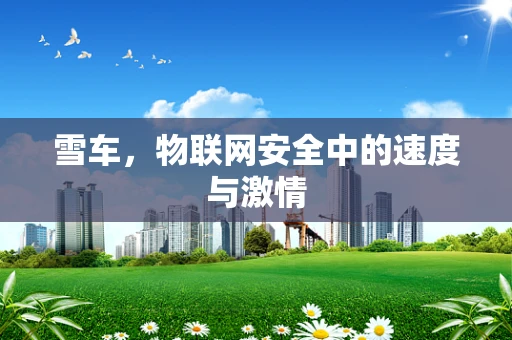 雪车，物联网安全中的速度与激情