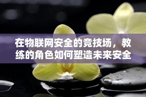 在物联网安全的竞技场，教练的角色如何塑造未来安全卫士？