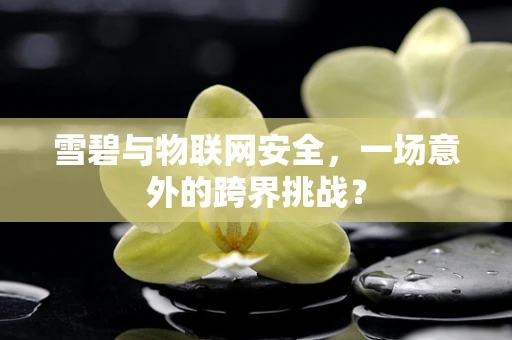 雪碧与物联网安全，一场意外的跨界挑战？