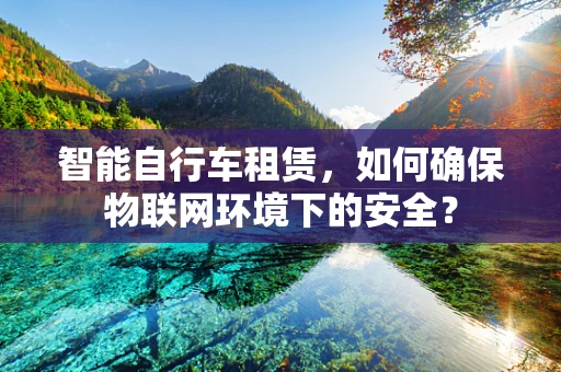 智能自行车租赁，如何确保物联网环境下的安全？