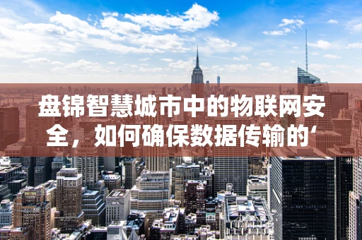盘锦智慧城市中的物联网安全，如何确保数据传输的‘零风险’？