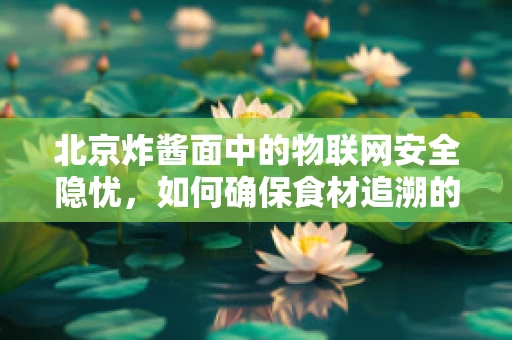 北京炸酱面中的物联网安全隐忧，如何确保食材追溯的网络安全？