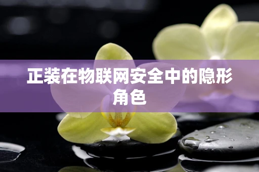正装在物联网安全中的隐形角色