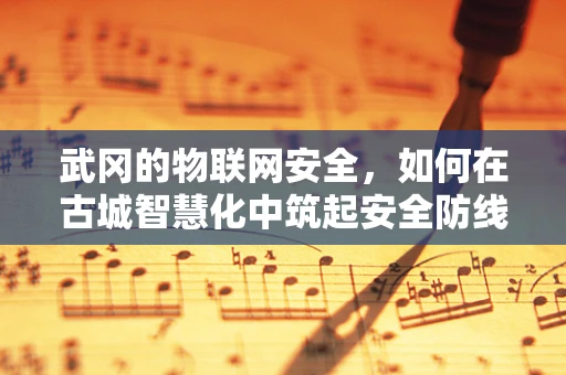 武冈的物联网安全，如何在古城智慧化中筑起安全防线？