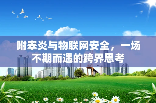 附睾炎与物联网安全，一场不期而遇的跨界思考