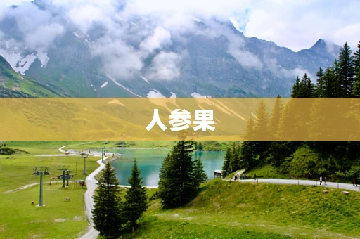 人参果