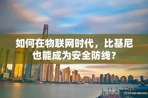 如何在物联网时代，比基尼也能成为安全防线？