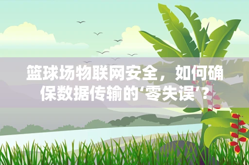 篮球场物联网安全，如何确保数据传输的‘零失误’？