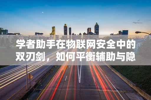 学者助手在物联网安全中的双刃剑，如何平衡辅助与隐私保护？