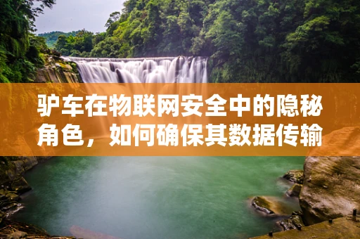 驴车在物联网安全中的隐秘角色，如何确保其数据传输的安全？