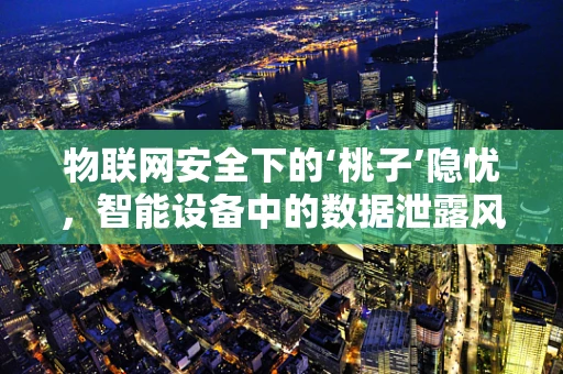 物联网安全下的‘桃子’隐忧，智能设备中的数据泄露风险