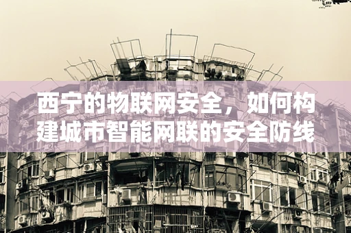 西宁的物联网安全，如何构建城市智能网联的安全防线？