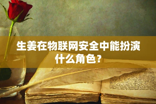 生姜在物联网安全中能扮演什么角色？