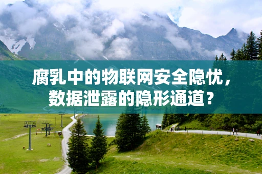 腐乳中的物联网安全隐忧，数据泄露的隐形通道？