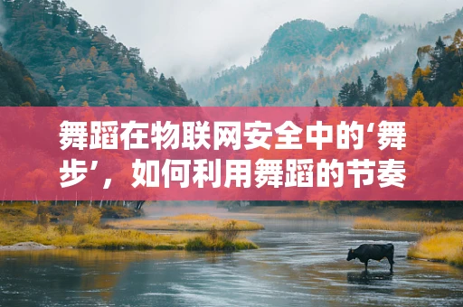 舞蹈在物联网安全中的‘舞步’，如何利用舞蹈的节奏性保障网络安全？