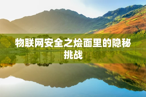 物联网安全之烩面里的隐秘挑战