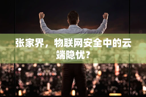 张家界，物联网安全中的云端隐忧？