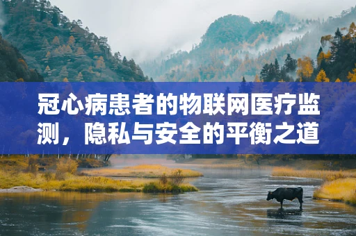 冠心病患者的物联网医疗监测，隐私与安全的平衡之道？