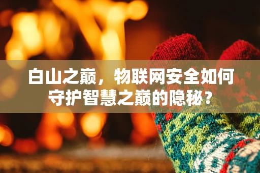 白山之巅，物联网安全如何守护智慧之巅的隐秘？