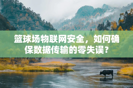 篮球场物联网安全，如何确保数据传输的零失误？