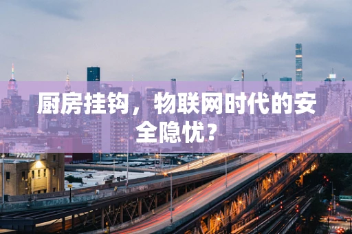 厨房挂钩，物联网时代的安全隐忧？