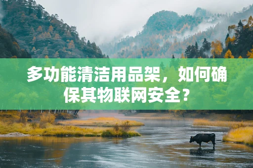 多功能清洁用品架，如何确保其物联网安全？