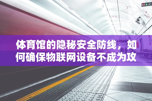 体育馆的隐秘安全防线，如何确保物联网设备不成为攻击的软肋？