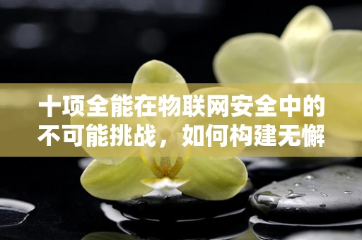 十项全能在物联网安全中的不可能挑战，如何构建无懈可击的防御体系？