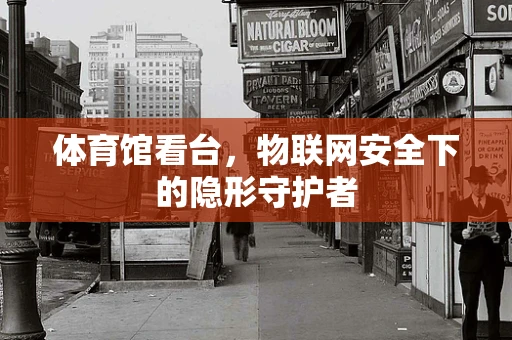 体育馆看台，物联网安全下的隐形守护者