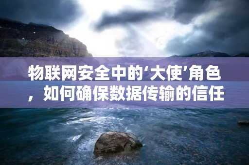 物联网安全中的‘大使’角色，如何确保数据传输的信任链？