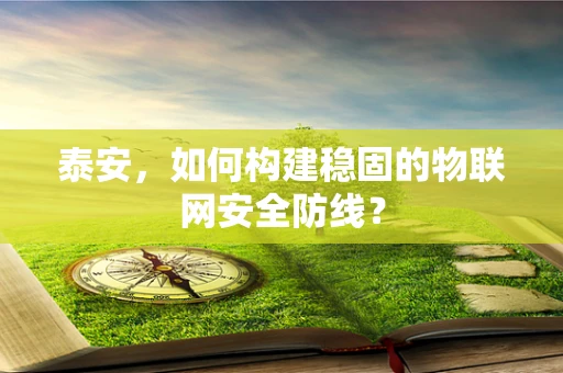 泰安，如何构建稳固的物联网安全防线？
