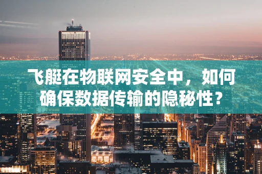 飞艇在物联网安全中，如何确保数据传输的隐秘性？