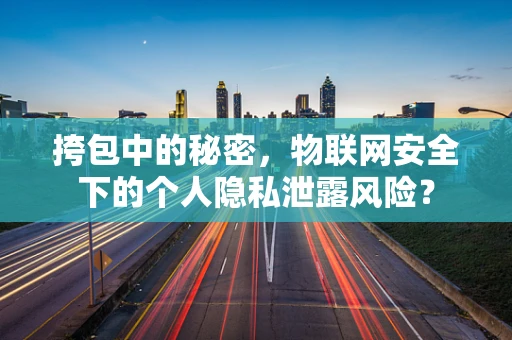 挎包中的秘密，物联网安全下的个人隐私泄露风险？