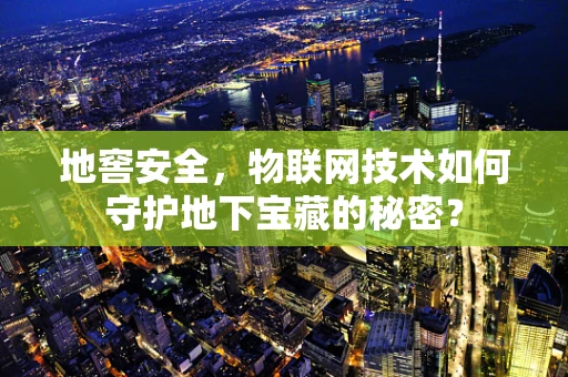 地窖安全，物联网技术如何守护地下宝藏的秘密？