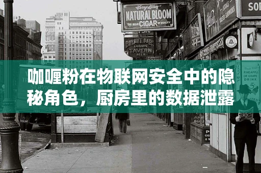 咖喱粉在物联网安全中的隐秘角色，厨房里的数据泄露风险？