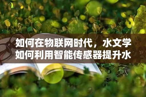 如何在物联网时代，水文学如何利用智能传感器提升水文监测的精准度与效率？