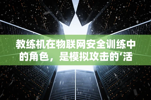 教练机在物联网安全训练中的角色，是模拟攻击的‘活靶子’还是防御策略的‘试金石’？