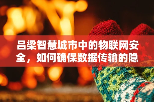 吕梁智慧城市中的物联网安全，如何确保数据传输的隐私与安全？