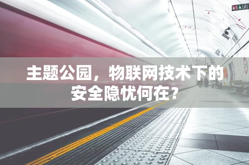主题公园，物联网技术下的安全隐忧何在？