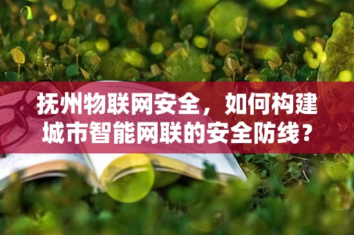 抚州物联网安全，如何构建城市智能网联的安全防线？