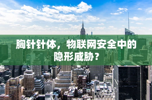 胸针针体，物联网安全中的隐形威胁？