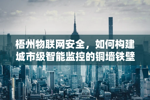 梧州物联网安全，如何构建城市级智能监控的铜墙铁壁？
