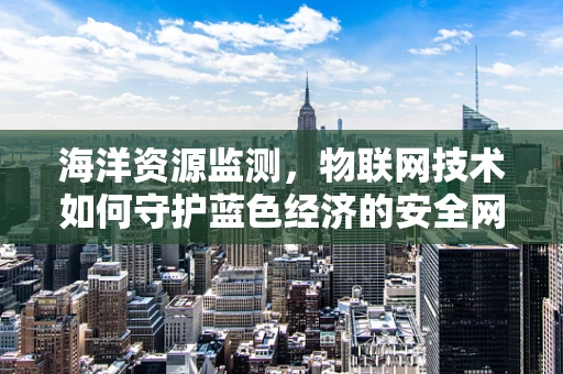 海洋资源监测，物联网技术如何守护蓝色经济的安全网？