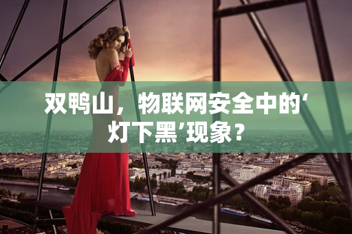 双鸭山，物联网安全中的‘灯下黑’现象？