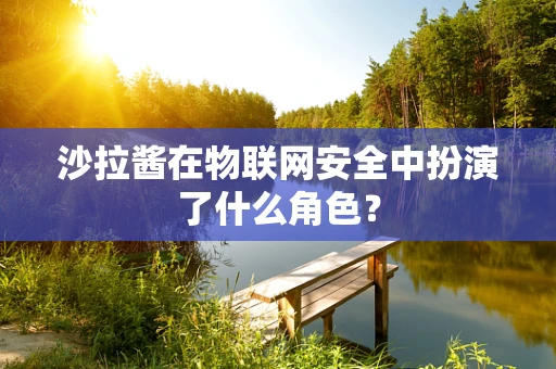 沙拉酱在物联网安全中扮演了什么角色？