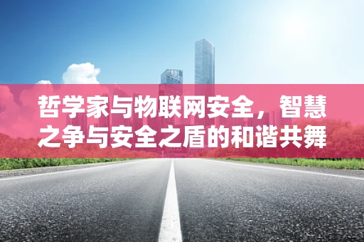 哲学家与物联网安全，智慧之争与安全之盾的和谐共舞？