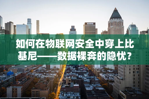 如何在物联网安全中穿上比基尼——数据裸奔的隐忧？