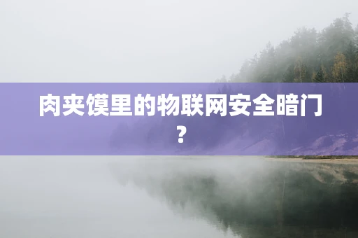 肉夹馍里的物联网安全暗门？