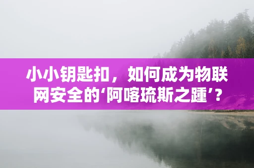小小钥匙扣，如何成为物联网安全的‘阿喀琉斯之踵’？