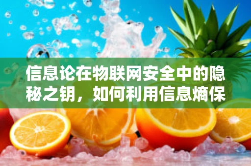 信息论在物联网安全中的隐秘之钥，如何利用信息熵保障数据传输安全？